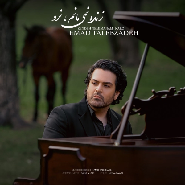 Emad-Talebzadeh-Zendeh-Nemimanam-Naro