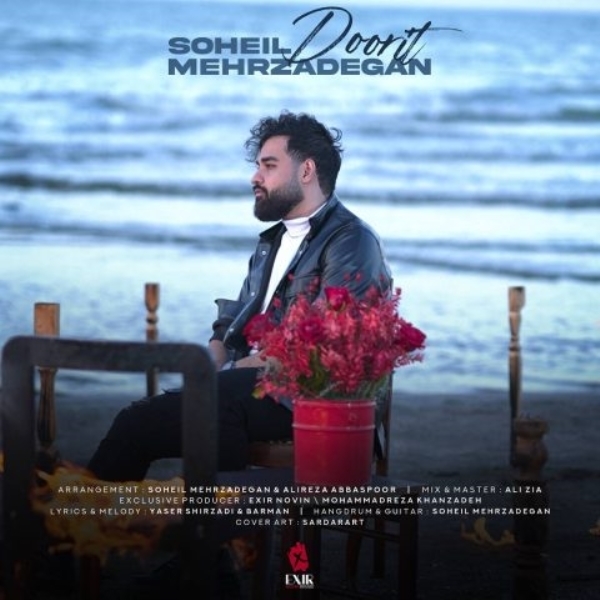 Soheil-Mehrzadegan-Doorit